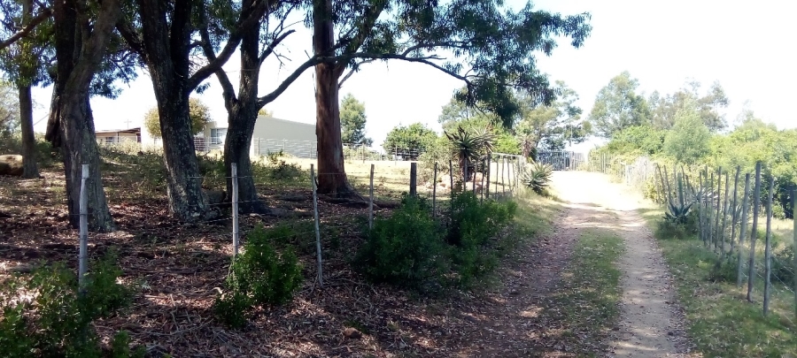 12 Bedroom Property for Sale in Ruiterbos Western Cape
